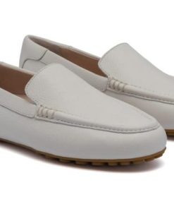 Vividvector.shop8f8e37a883 4