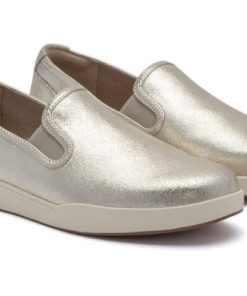 Vividvector.shop8fd2260c29 4