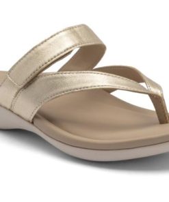 Vividvector.shop8ff8a51508 1