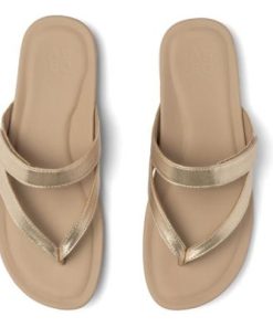 Vividvector.shop8ff8a51508 2