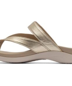 Vividvector.shop8ff8a51508 4