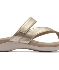 Vividvector.shop8ff8a51508 5