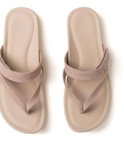 Vividvector.shop94d1be7d3b 2