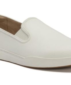 Vividvector.shop9a3c6a92fc 1