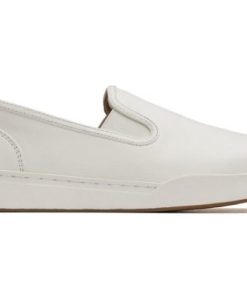 Vividvector.shop9a3c6a92fc 3