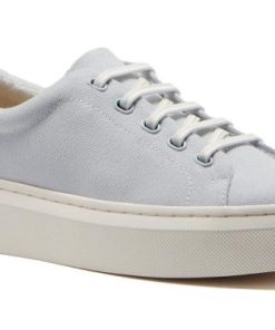 Vividvector.shop9a9ec1b86e 1