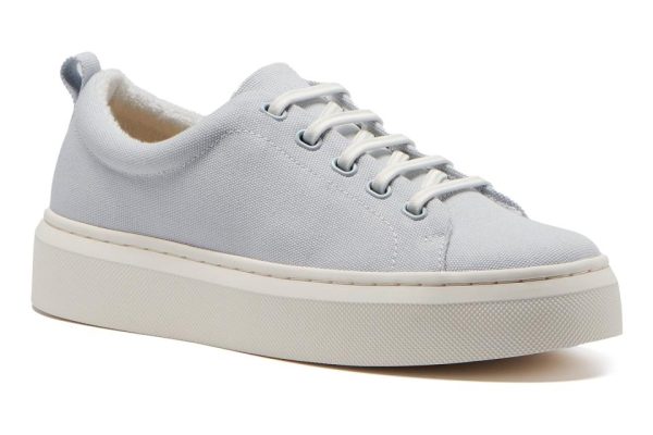 Vividvector.shop9a9ec1b86e 1