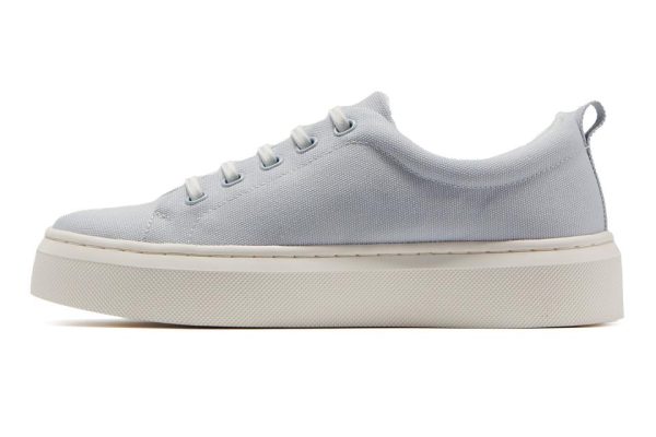 Vividvector.shop9a9ec1b86e 4