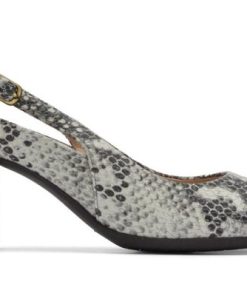 Vividvector.shop9b9c7aefa8 5