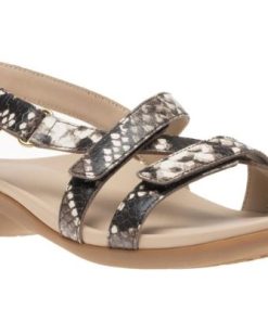 Vividvector.shop9c3d69cd37 1