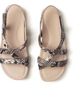 Vividvector.shop9c3d69cd37 2