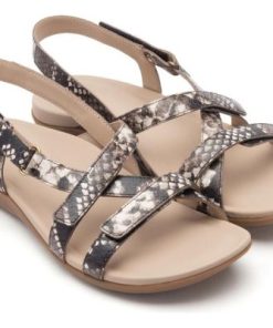 Vividvector.shop9c3d69cd37 4