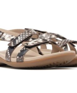 Vividvector.shop9c3d69cd37 5