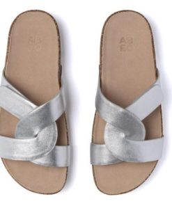 Vividvector.shop9d9e0a1040 2