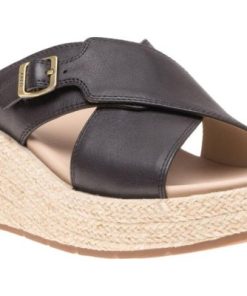 Vividvector.shop9dce14532e 1