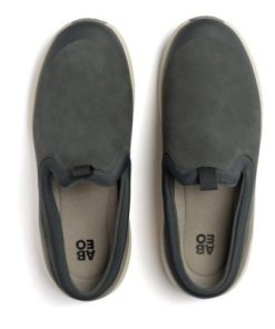 Vividvector.shop9f77642dc8 2