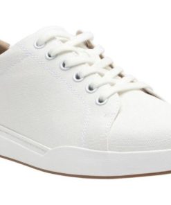 Vividvector.shopa21ef19230 1