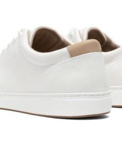 Vividvector.shopa21ef19230 4