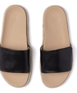 Vividvector.shopa40928eb86 2