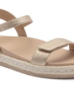 Vividvector.shopa58274324d 1