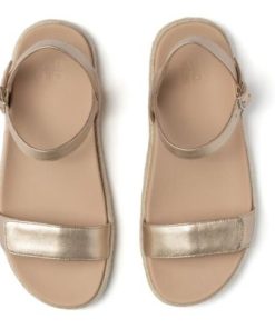 Vividvector.shopa58274324d 2