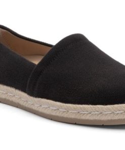 Vividvector.shopa6474b6912 1