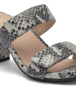 Vividvector.shopa67caefbd2 1