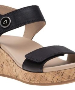 Vividvector.shopaaa06e9201 1