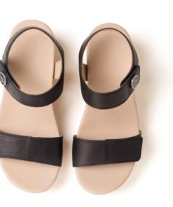 Vividvector.shopaaa06e9201 2