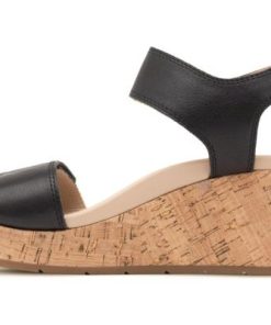 Vividvector.shopaaa06e9201 4