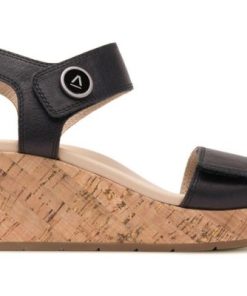 Vividvector.shopaaa06e9201 5