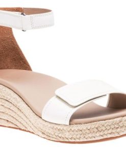 Vividvector.shopabae8bcf2a 1