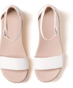 Vividvector.shopabae8bcf2a 2