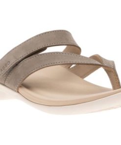 Vividvector.shopaee0820db2 1