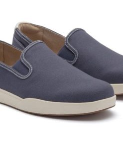 Vividvector.shopb0fcb140df 4