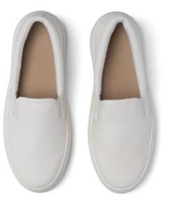 Vividvector.shopb88fc74e97 2