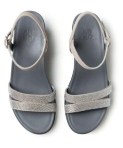 Vividvector.shopb945e0bbaa 2