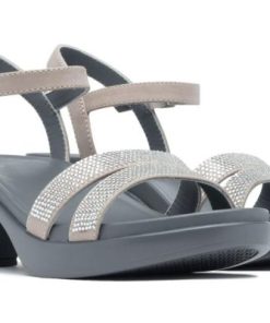 Vividvector.shopb945e0bbaa 5