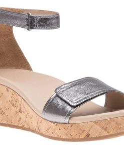 Vividvector.shopba092989d2 1