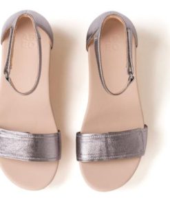 Vividvector.shopba092989d2 2