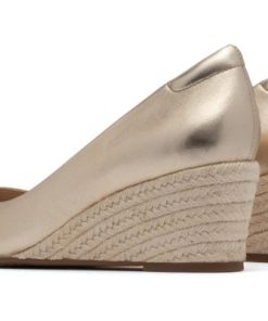 Vividvector.shopbce4354000 5