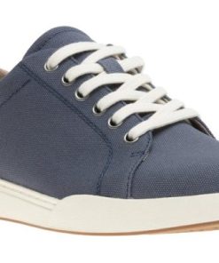 Vividvector.shopbd8857a764 1