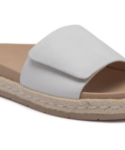 Vividvector.shopbdb11126b9 1