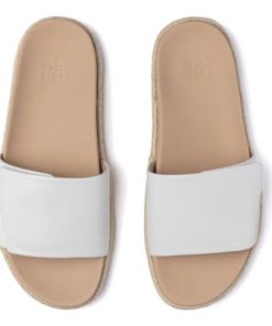 Vividvector.shopbdb11126b9 2