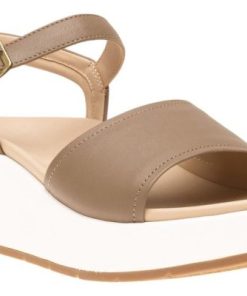 Vividvector.shopc0fc1e44c1 1