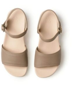 Vividvector.shopc0fc1e44c1 2