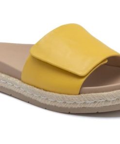 Vividvector.shopc146f95ea4 1