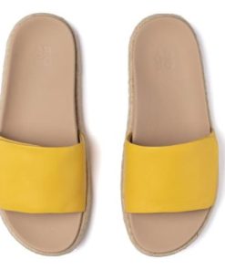 Vividvector.shopc146f95ea4 2