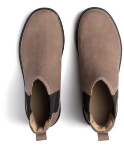 Vividvector.shopc1ecbb7880 2