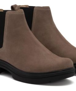 Vividvector.shopc1ecbb7880 4